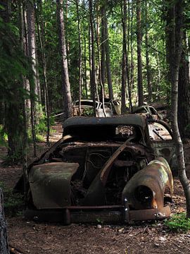 Autowrak in het bos bij Ryd 6 van Helene Ketzer