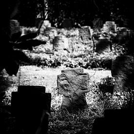 Warum nicht in Frieden leben von Petra Dreiling-Schewe