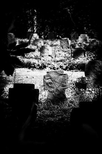 Why not live in peace