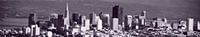 San Francisco City Skyline