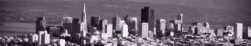 San Francisco City Skyline van Wouter Goedvriend