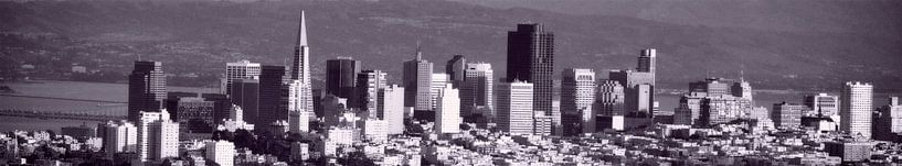 San Francisco City Skyline by Wouter Goedvriend