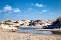 Neue Dünen, De Hors Texel