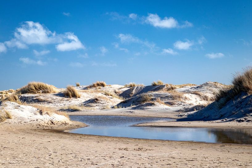 Nieuwe duinen, de Hors Texel van Johan Pape