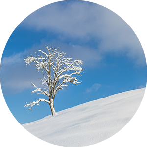 Natuurlandschap bij Füssen in de winter van Walter G. Allgöwer