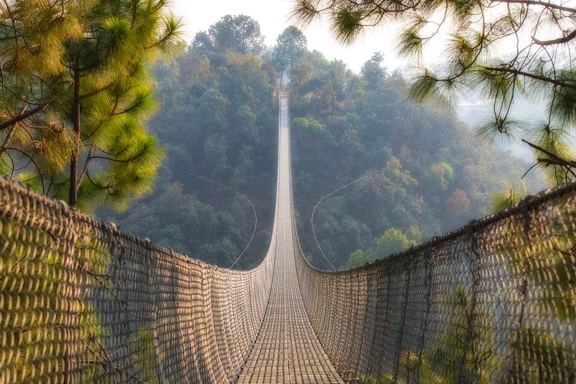 Suspension bridge in Nepal. by Ron van der Stappen