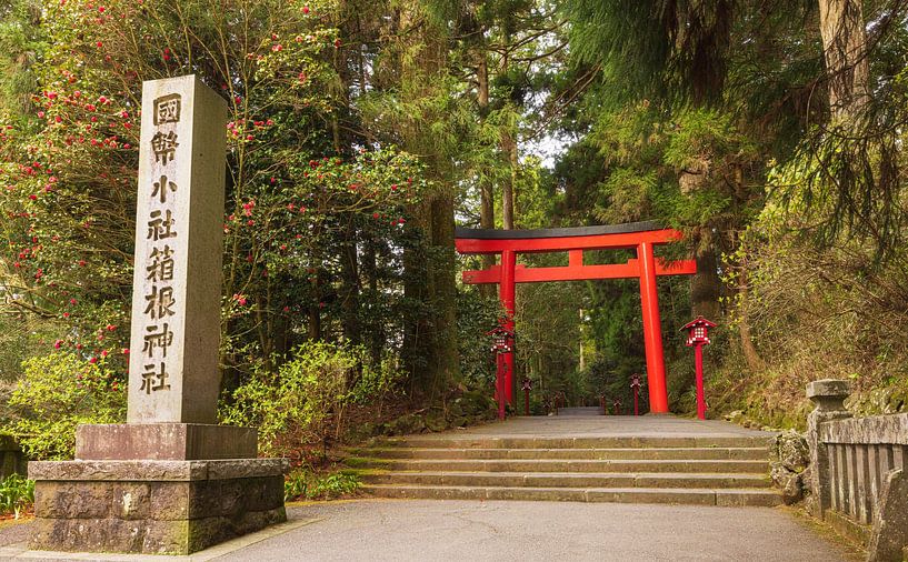 Hakone - Lake Ashi - Hakone Shrine (Japan) by Marcel Kerdijk