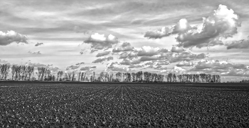 Polder landscape the Schermer. by Hans Lok