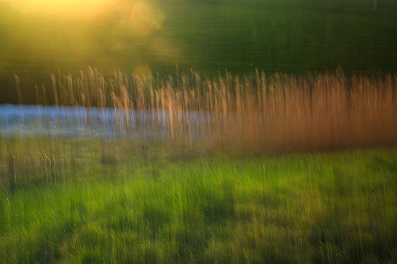 avondgloed van B Damstra