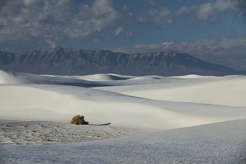 White Sands Dunes National Monument in New Mexico USA