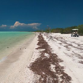 Golfwagen am Strand von Isla Holbox von Moniek van Rijbroek