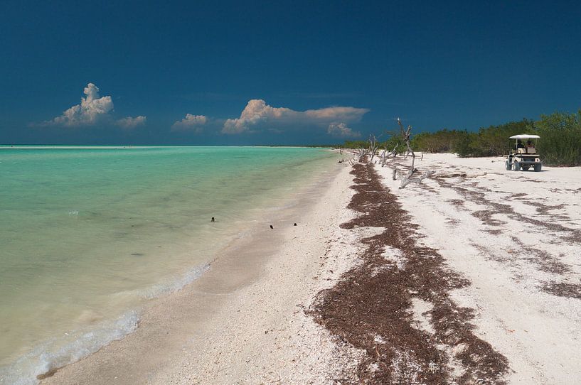 Golfkar op het strand van Isla Holbox van Moniek van Rijbroek