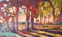 Grote bomen van Katrein Seybold thumbnail