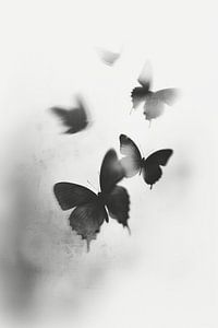 Dance Of The Butterflies No 3