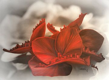 Rode hortensia bloesem - bloemenlandschap van Edeltraut K. Schlichting