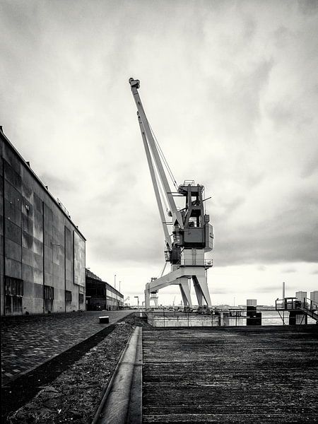 Harbour crane on the former RDM site Heijplaat Rotterdam by Rick Van der Poorten