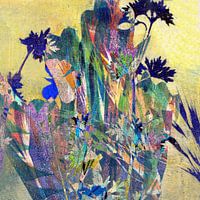Flowers - Licht und Schatten 4