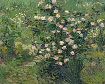 Roses, Vincent van Gogh