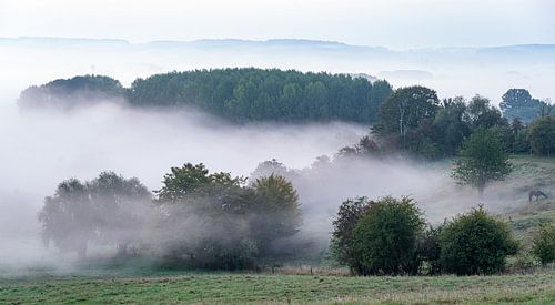 mistige ochtend in Frasnes