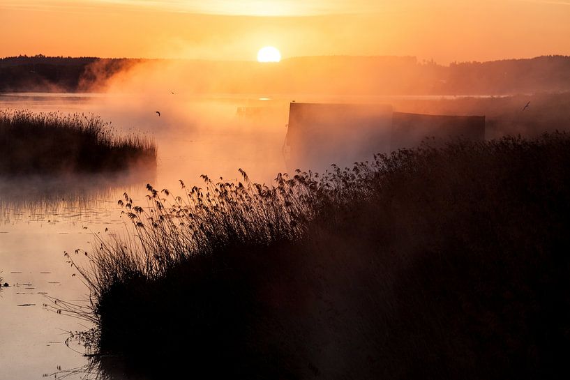 Federsee im Nebel von Jiri Viehmann