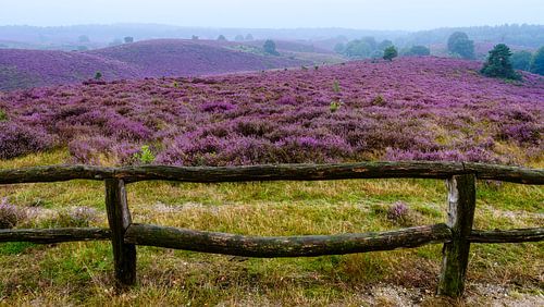 Posbank view by Richard Guijt Photography