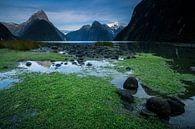 Milford Sound - South Island, New Zealand by Martijn Smeets thumbnail
