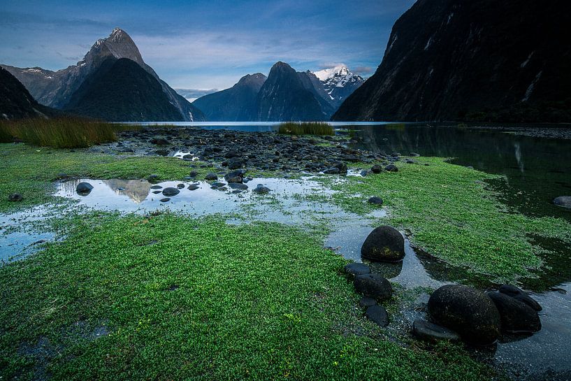 Milford Sound - South Island, New Zealand by Martijn Smeets