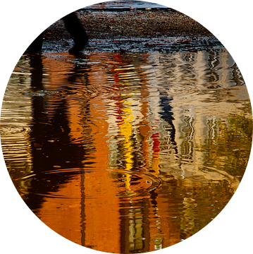 Anoniem van Ellen Driesse