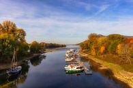 Rheinblick von Dagmar Marina Miniaturansicht