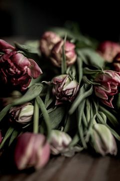 Tulpen close up | fine art stilleven fotografie in kleur | print muur kunst van Nicole Colijn