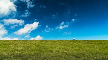 Salt marsh by rosstek ®