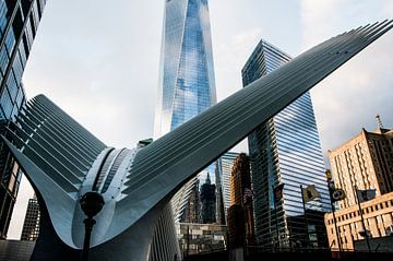 9-11 memorial New York City van Annelies Martinot