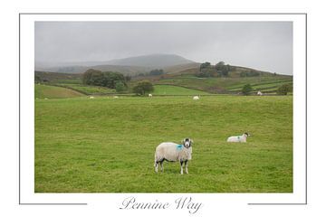 Pennine Way van Richard Wareham