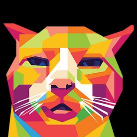 Rif Afin photo de profil