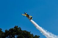 Sukhoi 29 by Raymond Engelen thumbnail