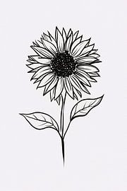 Minimalist black and white sunflower line art by Art & Soul Creations
