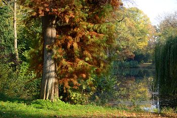 Julianapark in Utrecht in autumn