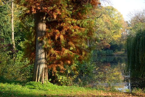 Julianapark à Utrecht en automne