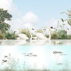 Watervogels en vissen in een Hollands slootje van Mrdododesign