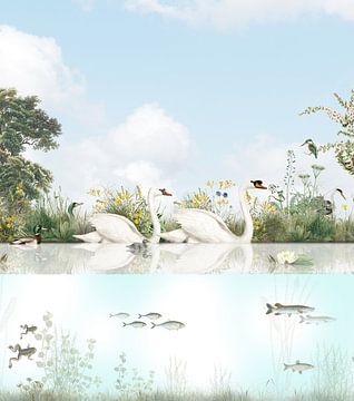 Wasservögel und Fische in einem holländischen Graben von Mrdododesign