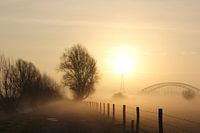 Mistige Uiterwaarden Oosterbeek.