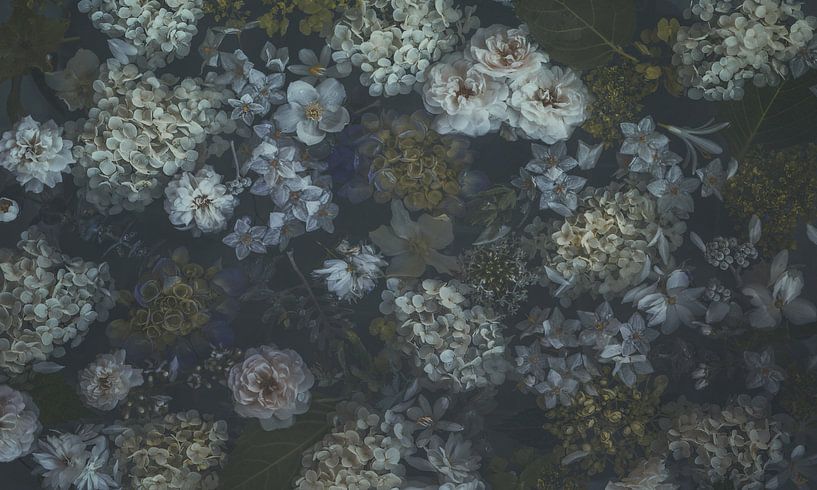 TheHedge von Marina de Wit