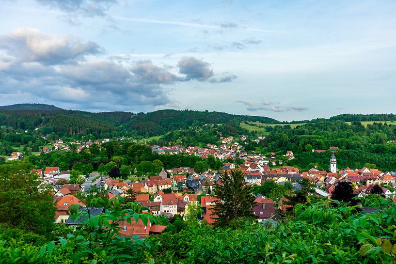 Découverte estivale de la forêt de Thuringe près de Steinbach-Hallenberg - Thuringe par Oliver Hlavaty
