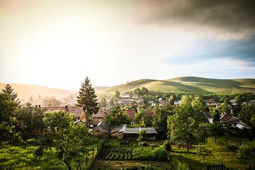 Hungarian View by Leon Weggelaar