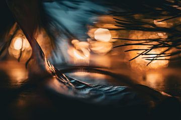 Ready for Christmas by Gonda Versteeg