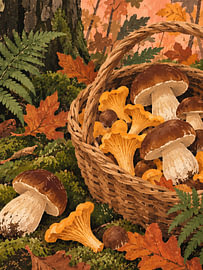 Pilzkorb im Herbstwald – Steinpilz und Pfifferling von Albert Klee