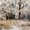 WINTERLANDSCHAP van Petra Terpstra