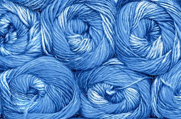 Denim Wool (Wol in Denim) van Caroline Lichthart