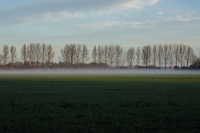 Ochtend mist van Niek Traas