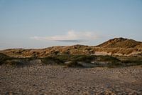 Schoorl Dünen | Reisefotografie